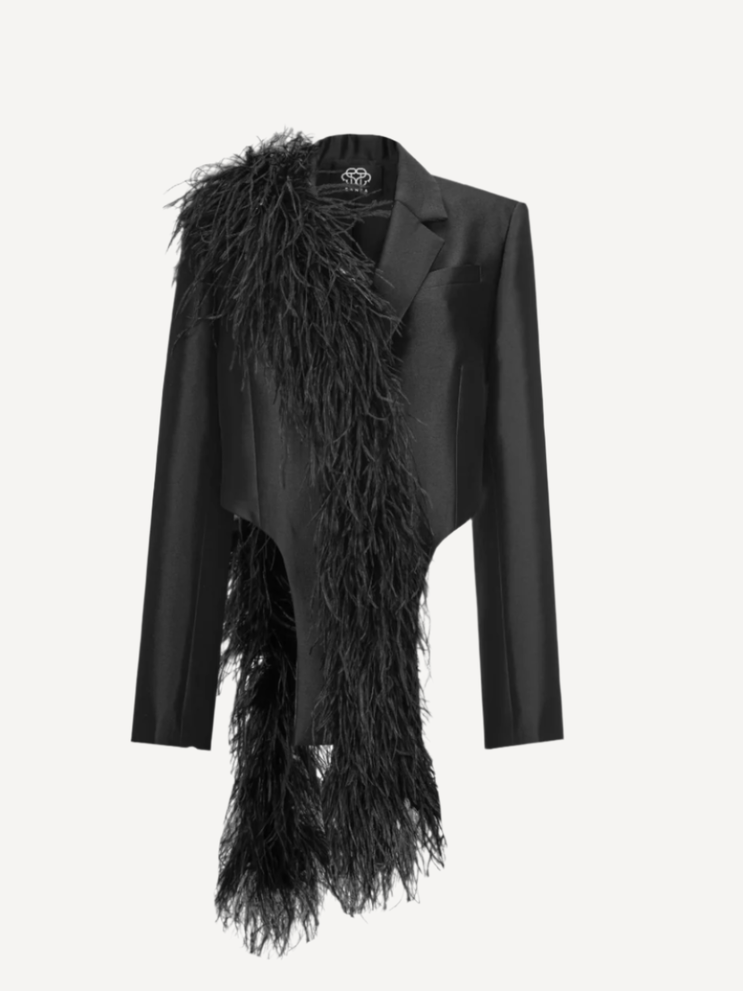 Black Jacket with Feathers