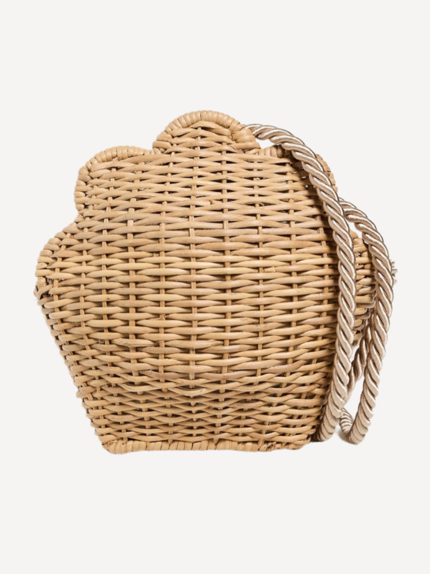 Iane Bag